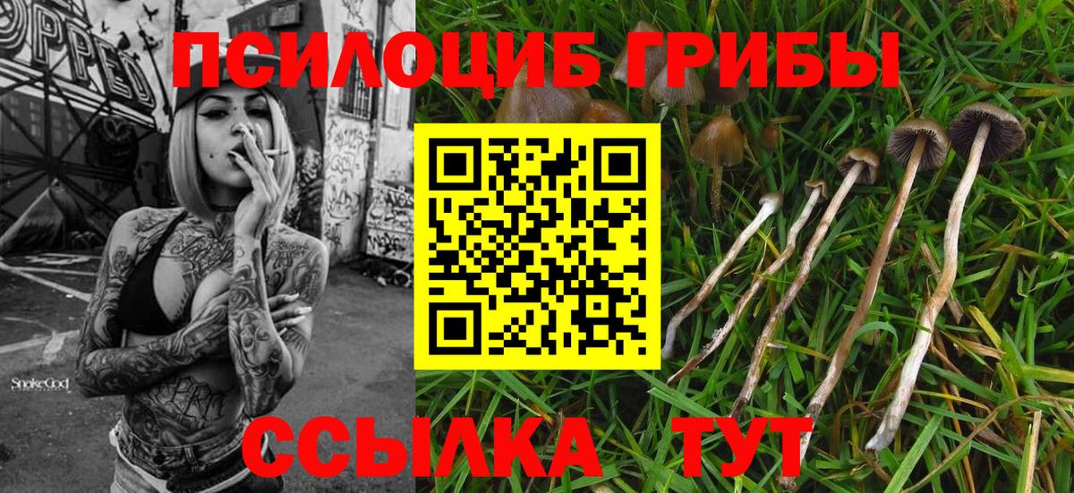Унеча  Галлюциногенные грибы MAGIC MUSHROOMS  Вход с VPN 