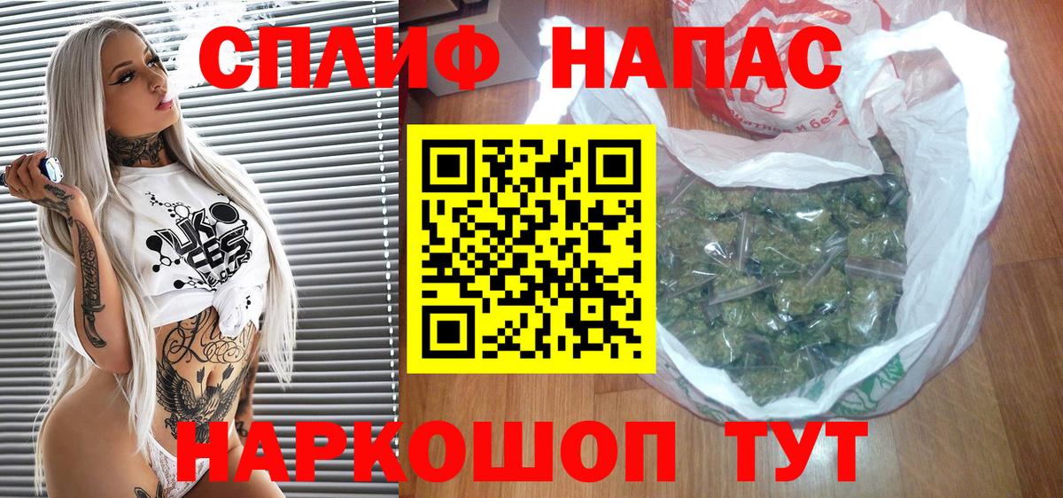 Конопля сатива Унеча